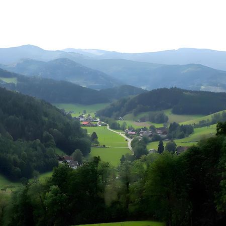 Ruhige Schwarzwald Ferienwohnung Buchenbach  Exterior foto